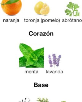 Perfume Arabe Obdyssey Aqua