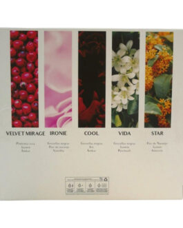 Estuche,Discovery set Saphir