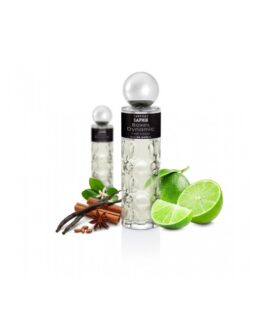 Estuche hombre Boxes Dynamic by Saphir – SAPHIR